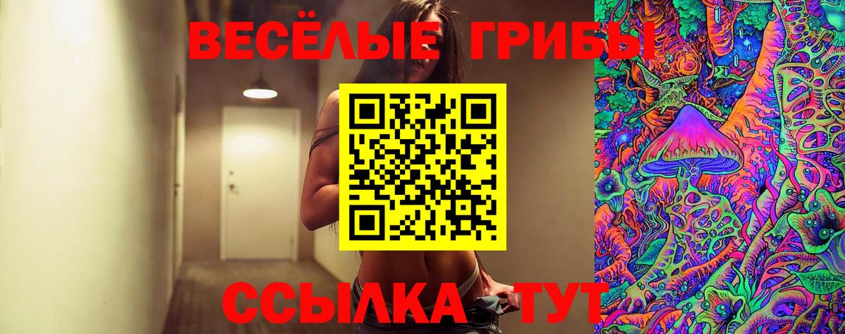 Псилоцибиновые грибы прущие грибы  Вход с VPN  Камень-на-Оби 
