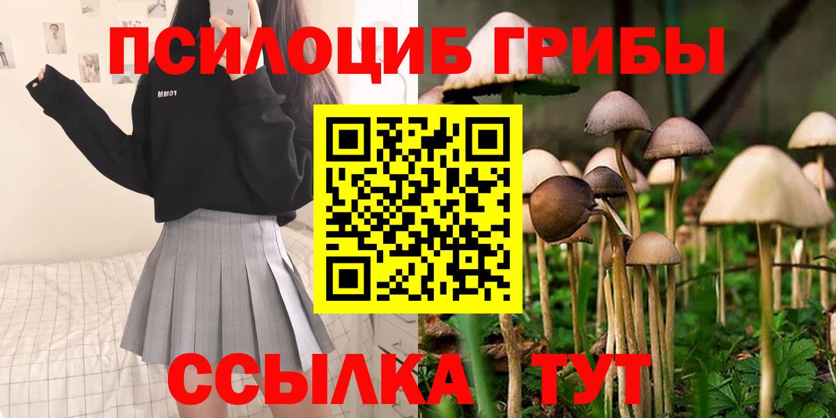 Галлюциногенные грибы мицелий Камень-на-Оби